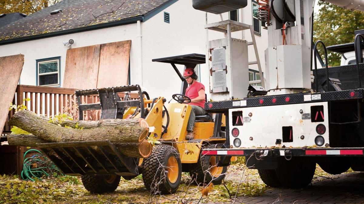 Emergency Tree Removal Emergency Tree Removal