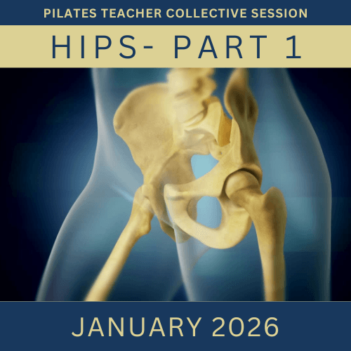 Join our monthly collaborative meetings to explore common themes and challenges faced by Pilates Teachers in a supportive environment. Collective Sessions What We Offer I run programs for Pilates Teachers to support their journey, build their confidence and share the legacy of the Classical Pilates Method.
The first program is Contrology Coach. It is 8 weeks of 50 minute weekly meetings and semi-weekly private lessons. It is for Classically Trained or Classically Curious Teachers who want to focus equally on their own practice and their teaching.
The second program is called Contrology Club. It is 8 weeks of 80 minute weekly meetings. It is for Classically trained teachers (or those who have gone through a term of Contrology Coach) who want to dive into the system. Each week, we examine an exercise or two, diving into who it is for, some of the goals or benefits and explore how the system (ie both the exercises and apparatus) help to build, progress and challenge this exercise.
The third program is a monthly meeting series called Collective Sessions. These are 90 minute collaborative explorations into themes, exercises or common challenges we all face as Pilates Teachers.