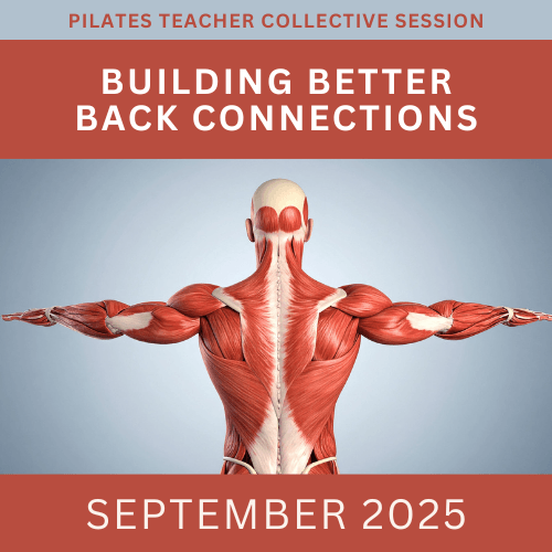 Join our monthly collaborative meetings to explore common themes and challenges faced by Pilates Teachers in a supportive environment. Collective Sessions What We Offer I run programs for Pilates Teachers to support their journey, build their confidence and share the legacy of the Classical Pilates Method.
The first program is Contrology Coach. It is 8 weeks of 50 minute weekly meetings and semi-weekly private lessons. It is for Classically Trained or Classically Curious Teachers who want to focus equally on their own practice and their teaching.
The second program is called Contrology Club. It is 8 weeks of 80 minute weekly meetings. It is for Classically trained teachers (or those who have gone through a term of Contrology Coach) who want to dive into the system. Each week, we examine an exercise or two, diving into who it is for, some of the goals or benefits and explore how the system (ie both the exercises and apparatus) help to build, progress and challenge this exercise.
The third program is a monthly meeting series called Collective Sessions. These are 90 minute collaborative explorations into themes, exercises or common challenges we all face as Pilates Teachers.