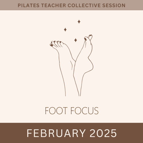 An 8-week program tailored for Classically Trained or Classically Curious Teachers, focusing on personal practice and teaching skills. Contrology Coach What We Offer I run programs for Pilates Teachers to support their journey, build their confidence and share the legacy of the Classical Pilates Method.
The first program is Contrology Coach. It is 8 weeks of 50 minute weekly meetings and semi-weekly private lessons. It is for Classically Trained or Classically Curious Teachers who want to focus equally on their own practice and their teaching.
The second program is called Contrology Club. It is 8 weeks of 80 minute weekly meetings. It is for Classically trained teachers (or those who have gone through a term of Contrology Coach) who want to dive into the system. Each week, we examine an exercise or two, diving into who it is for, some of the goals or benefits and explore how the system (ie both the exercises and apparatus) help to build, progress and challenge this exercise.
The third program is a monthly meeting series called Collective Sessions. These are 90 minute collaborative explorations into themes, exercises or common challenges we all face as Pilates Teachers.
