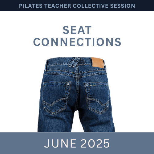 Join our monthly collaborative meetings to explore common themes and challenges faced by Pilates Teachers in a supportive environment. Collective Sessions What We Offer I run programs for Pilates Teachers to support their journey, build their confidence and share the legacy of the Classical Pilates Method.
The first program is Contrology Coach. It is 8 weeks of 50 minute weekly meetings and semi-weekly private lessons. It is for Classically Trained or Classically Curious Teachers who want to focus equally on their own practice and their teaching.
The second program is called Contrology Club. It is 8 weeks of 80 minute weekly meetings. It is for Classically trained teachers (or those who have gone through a term of Contrology Coach) who want to dive into the system. Each week, we examine an exercise or two, diving into who it is for, some of the goals or benefits and explore how the system (ie both the exercises and apparatus) help to build, progress and challenge this exercise.
The third program is a monthly meeting series called Collective Sessions. These are 90 minute collaborative explorations into themes, exercises or common challenges we all face as Pilates Teachers.