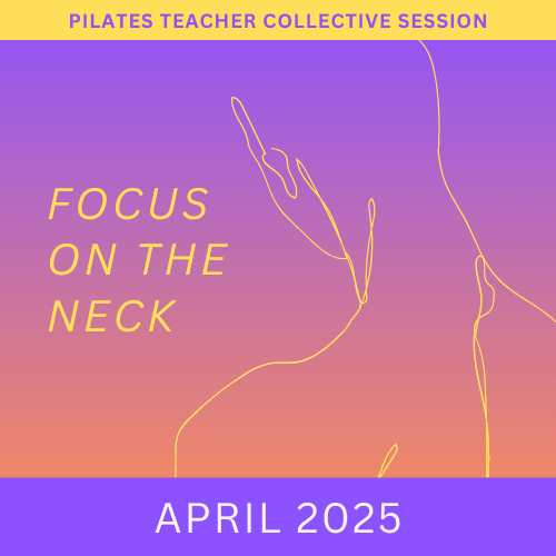 Join our monthly collaborative meetings to explore common themes and challenges faced by Pilates Teachers in a supportive environment. Collective Sessions What We Offer I run programs for Pilates Teachers to support their journey, build their confidence and share the legacy of the Classical Pilates Method.
The first program is Contrology Coach. It is 8 weeks of 50 minute weekly meetings and semi-weekly private lessons. It is for Classically Trained or Classically Curious Teachers who want to focus equally on their own practice and their teaching.
The second program is called Contrology Club. It is 8 weeks of 80 minute weekly meetings. It is for Classically trained teachers (or those who have gone through a term of Contrology Coach) who want to dive into the system. Each week, we examine an exercise or two, diving into who it is for, some of the goals or benefits and explore how the system (ie both the exercises and apparatus) help to build, progress and challenge this exercise.
The third program is a monthly meeting series called Collective Sessions. These are 90 minute collaborative explorations into themes, exercises or common challenges we all face as Pilates Teachers.