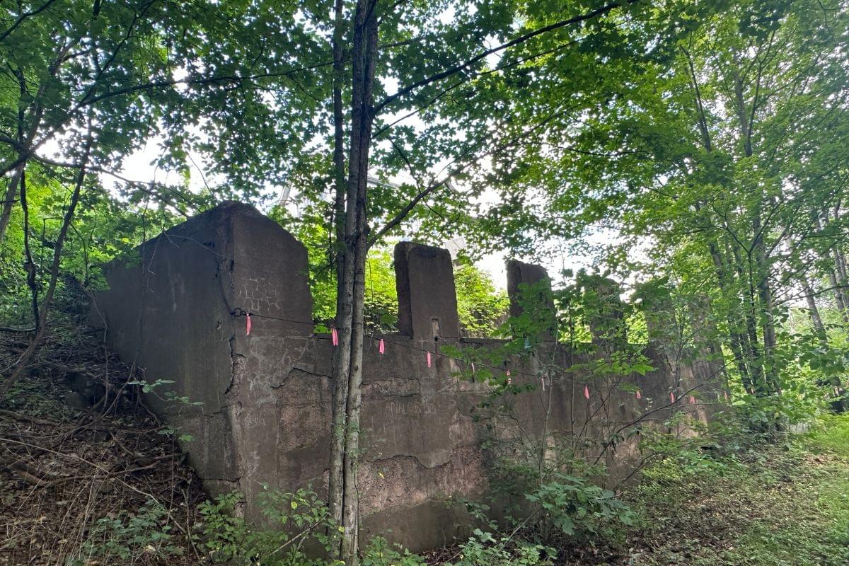 Section image