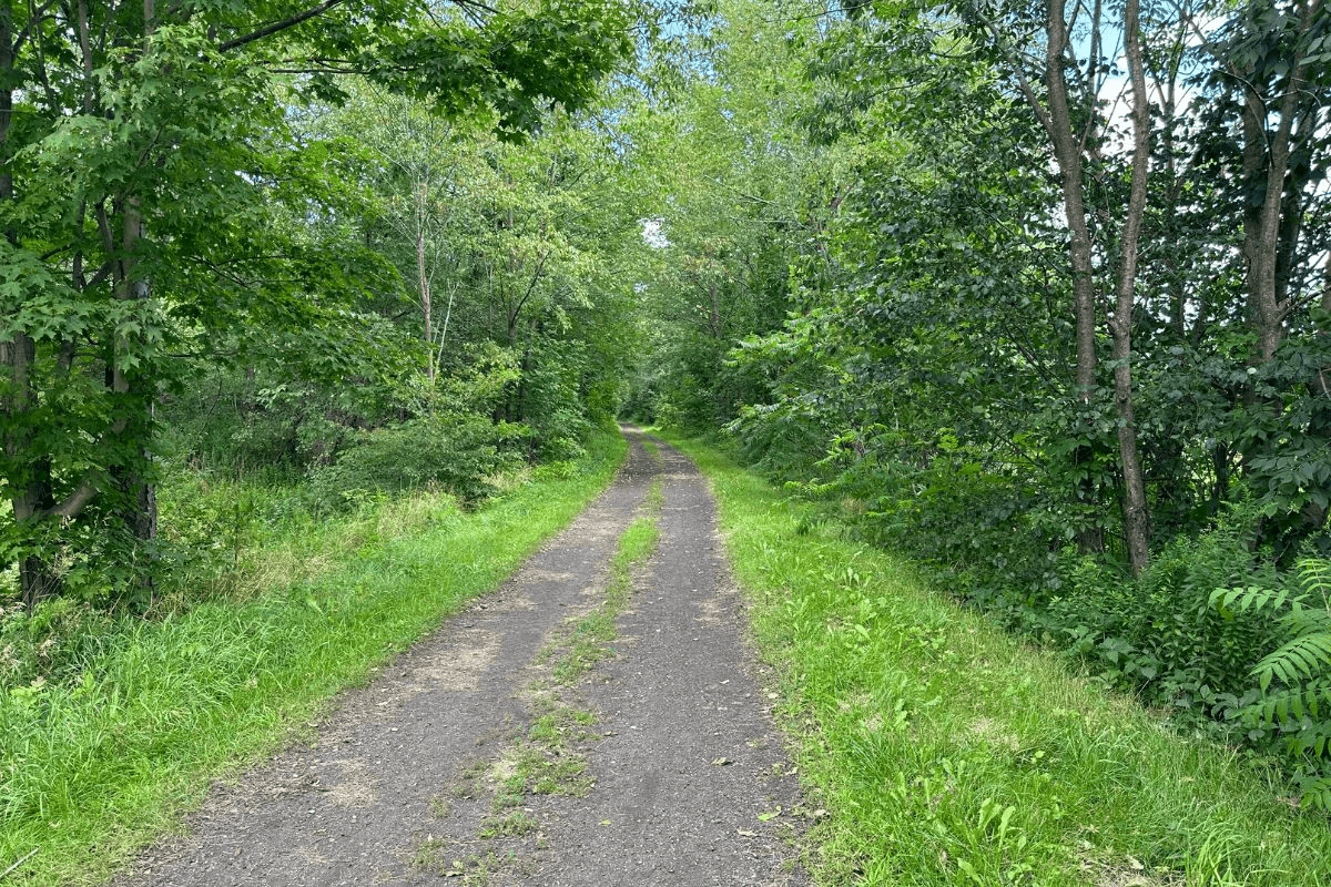 Section image