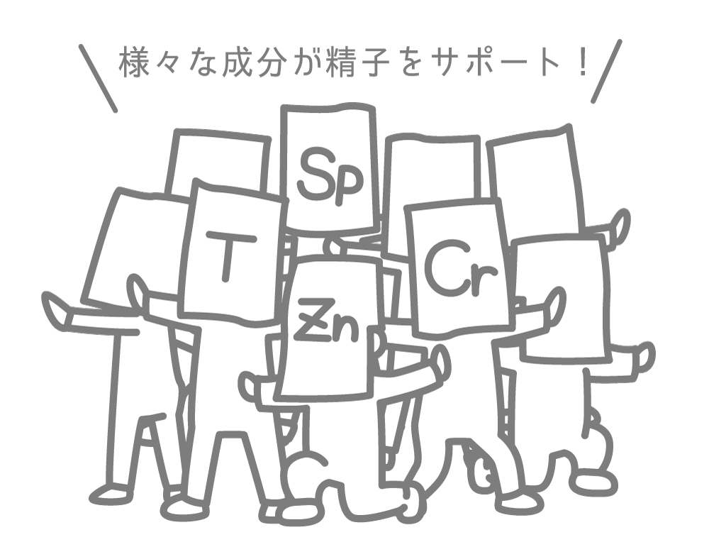 精しょう=サポート部隊 精しょう=サポート部隊