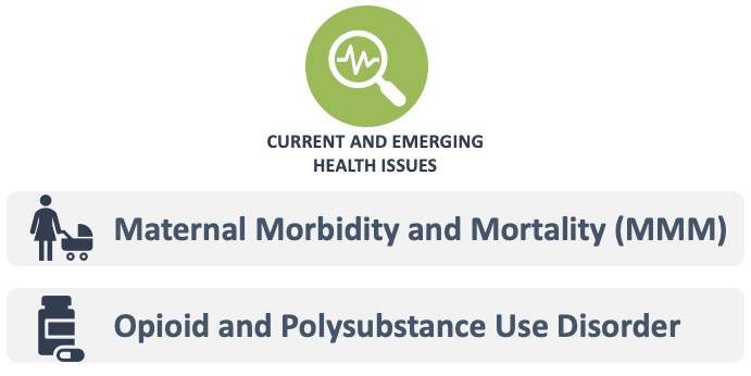 Current and emerging health issues: maternal morbidity and mortality, opioid and polysubstance use disorder Current and emerging health issues: maternal morbidity and mortality, opioid and polysubstance use disorder
