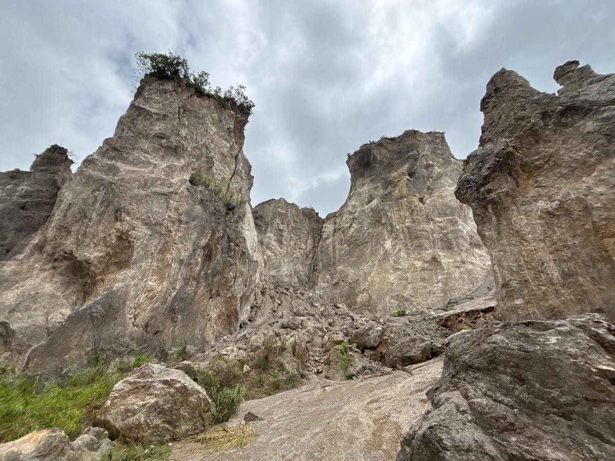 Section image