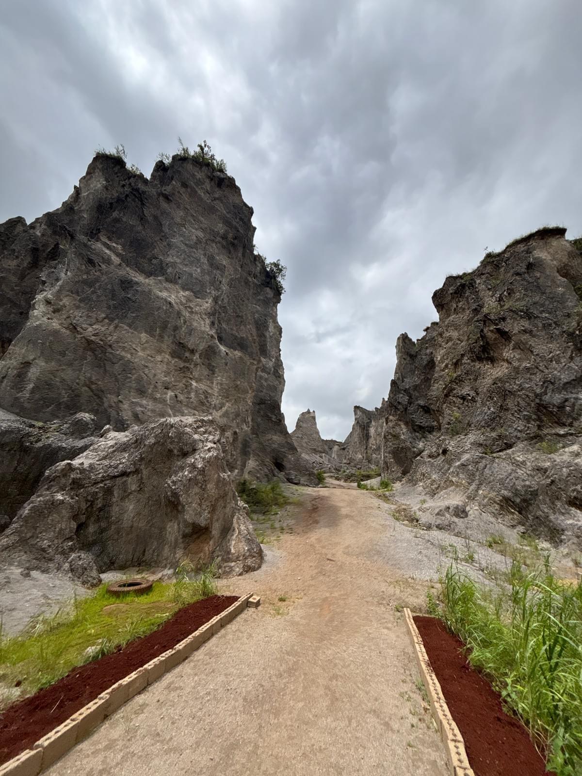Section image