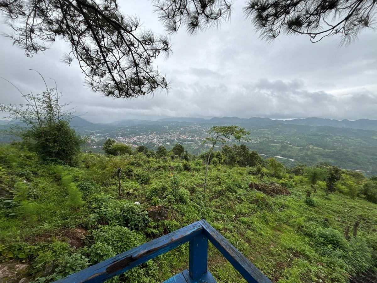 Section image