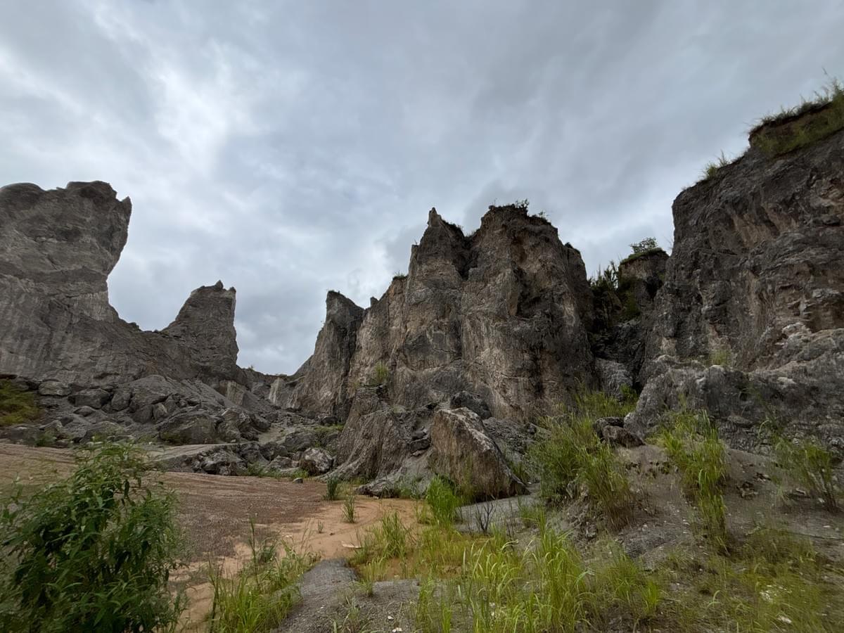 Section image