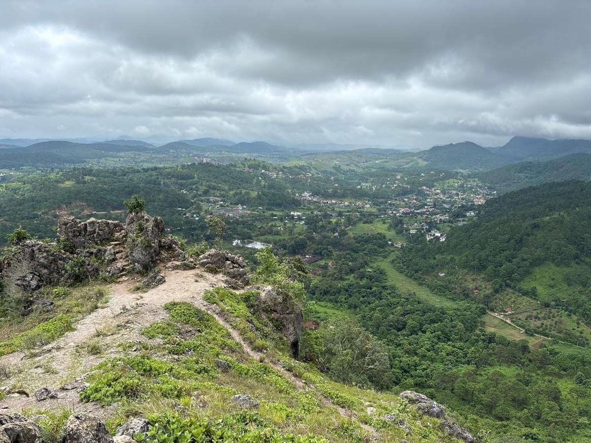 Section image