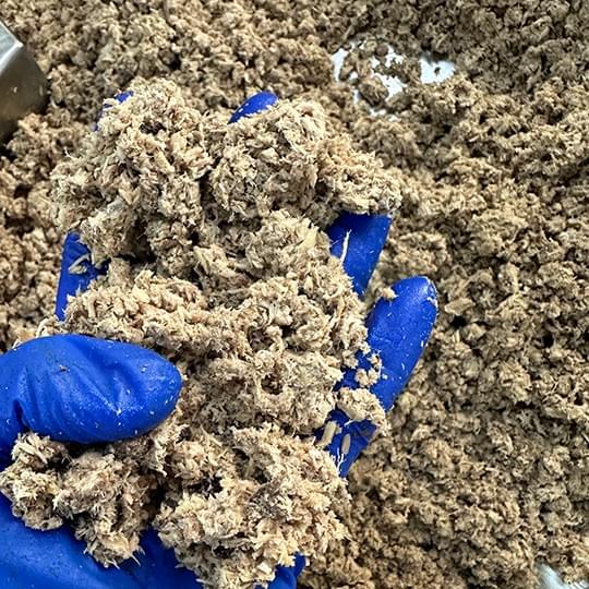 We are committed to sustainable fishing practices, ensuring that our tuna products are sourced responsibly to protect marine ecosystems. Sustainable Sourcing What We Do 我们是金枪鱼冻煮鱼柳供应商同时给客户提供金枪鱼罐头代加工服务 We are committed to sustainable fishing practices, ensuring that our tuna products are sourced responsibly to protect marine ecosystems. Sustainable Sourcing What We Do 我们是金枪鱼冻煮鱼柳供应商同时给客户提供金枪鱼罐头代加工服务