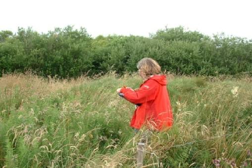 Carrying out a plant survey - Natural Landscapers Carrying out a plant survey - Natural Landscapers