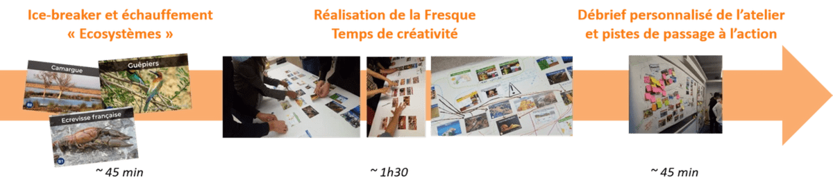 Fresque de la Biodiversité Fresque de la Biodiversité