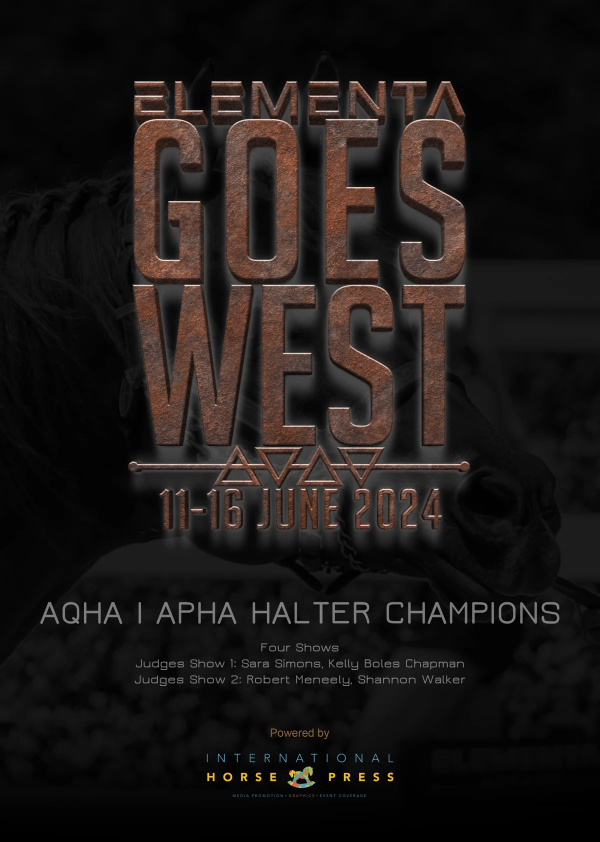 Click on the image to view the Halter Champions Click on the image to view the Halter Champions