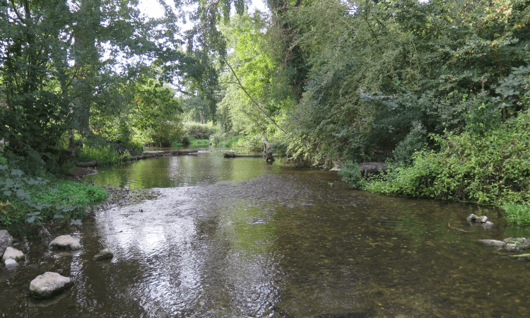 Section image