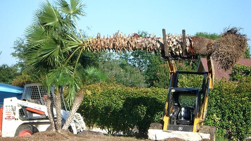 land clearing in San Antonio, Texas land clearing in San Antonio, Texas