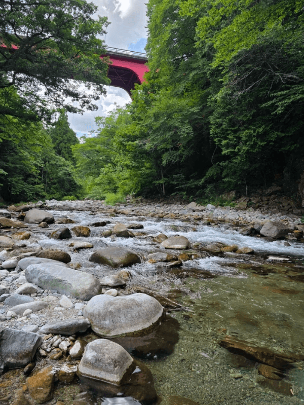 Section image
