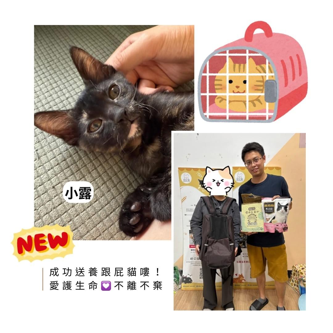 broken image