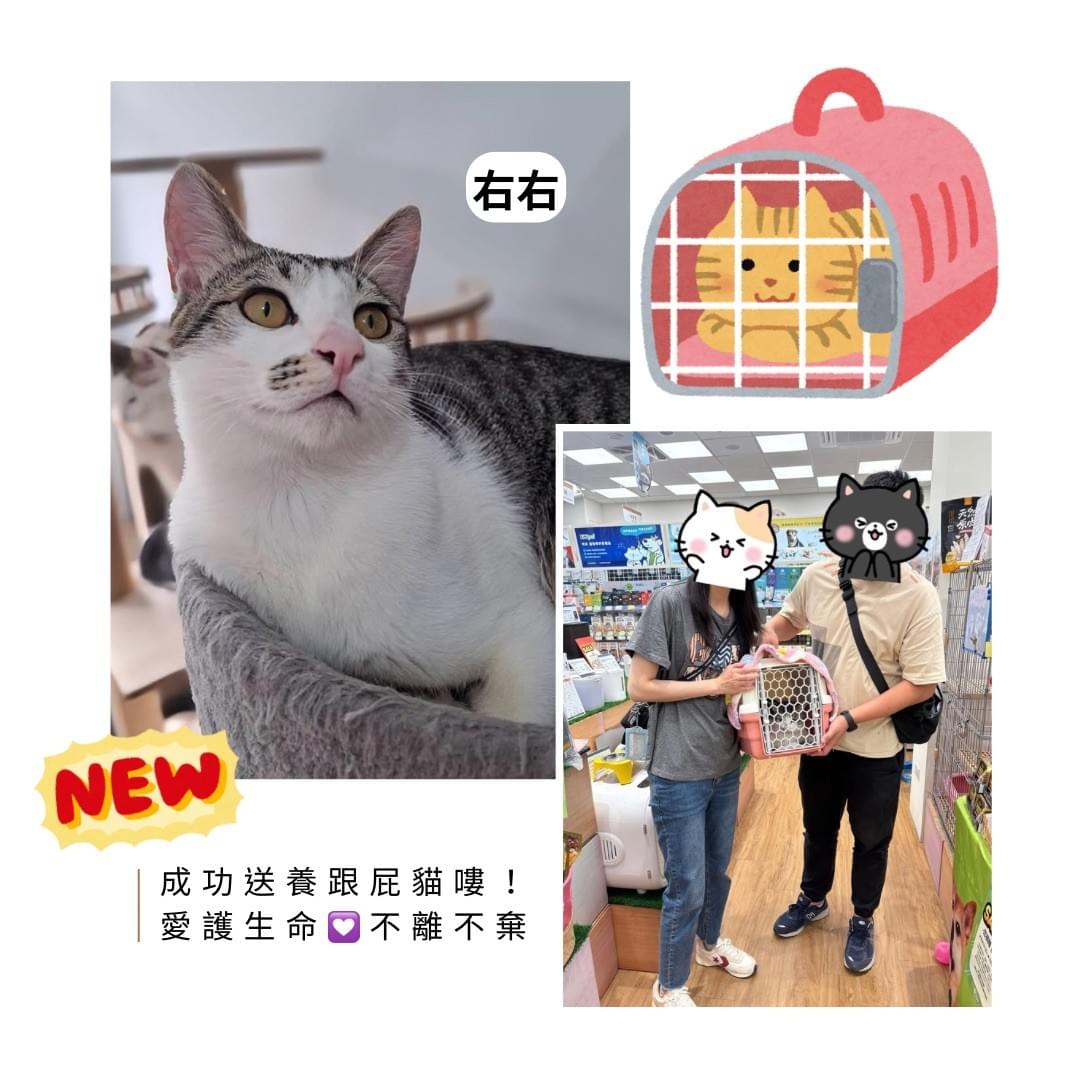 broken image