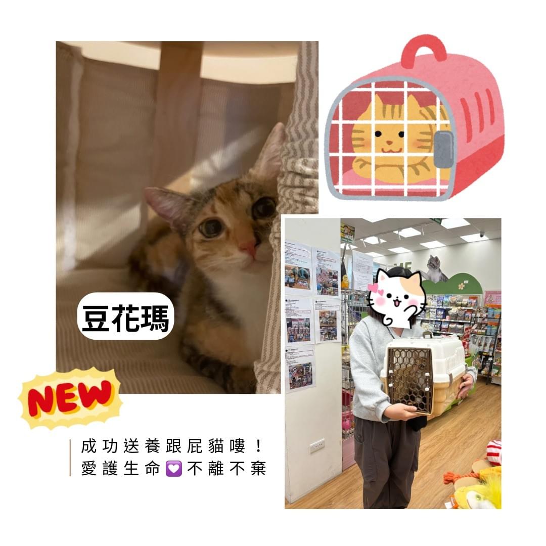 broken image