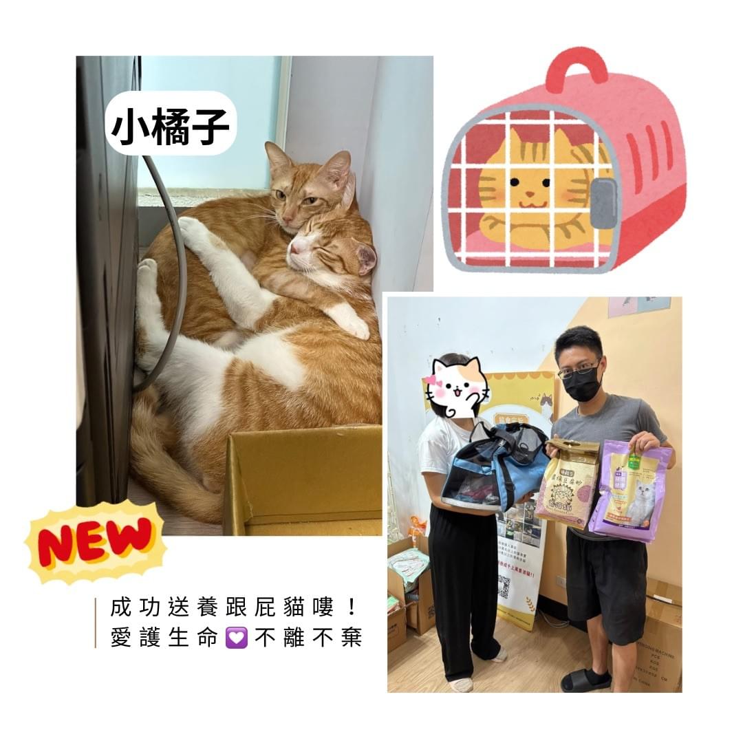 broken image