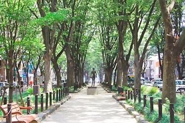 Section image