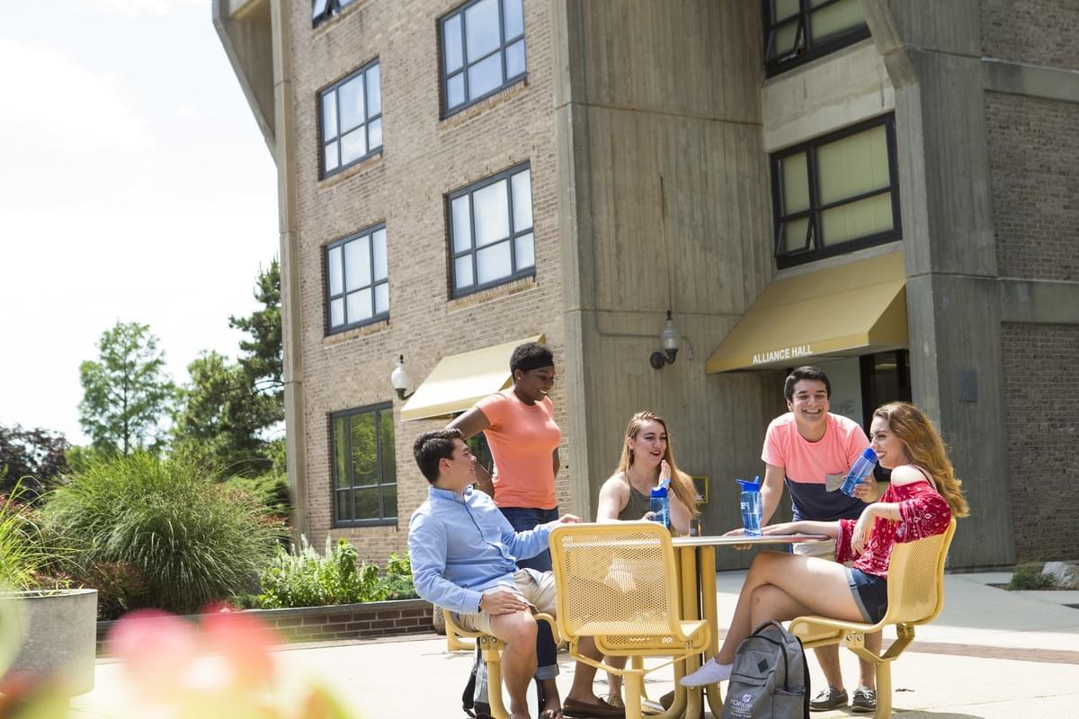 霍夫斯特拉大学,Hofstra University 霍夫斯特拉大学,Hofstra University