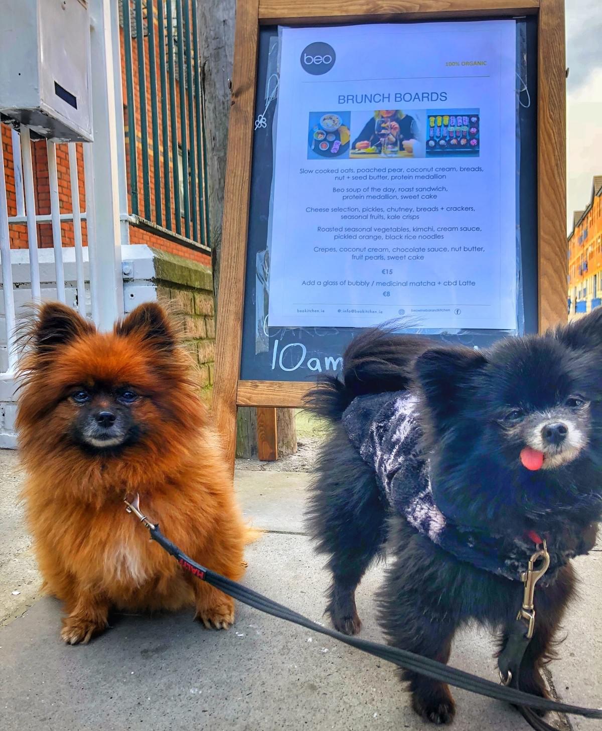 Follow our doggy up dates on Instagram Follow our doggy up dates on Instagram