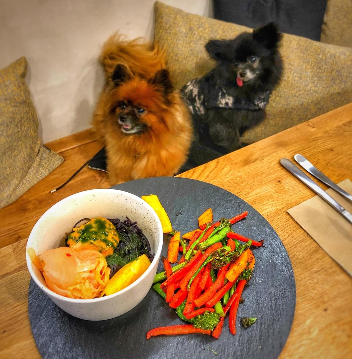 Woof us on Facebook Woof us on Facebook