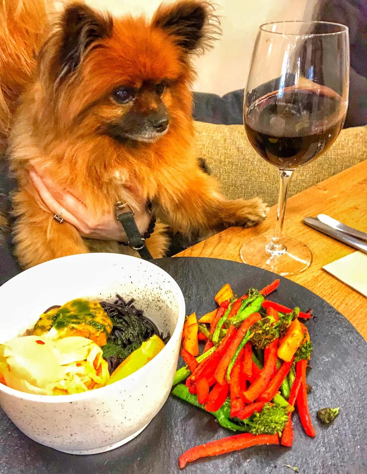 More dog friendly dining More dog friendly dining