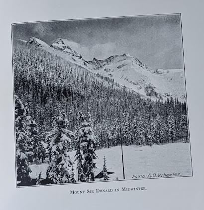 Section image