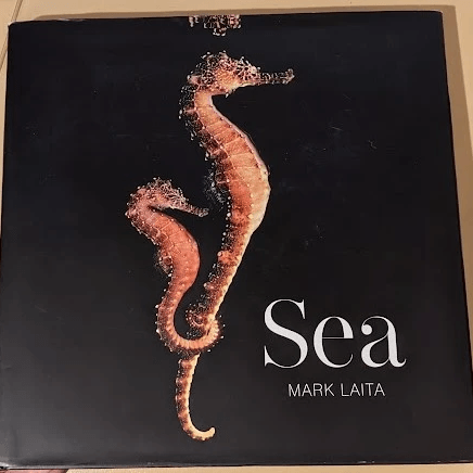 Sea Mark Laita New York, 2022 Sea Mark Laita New York, 2022