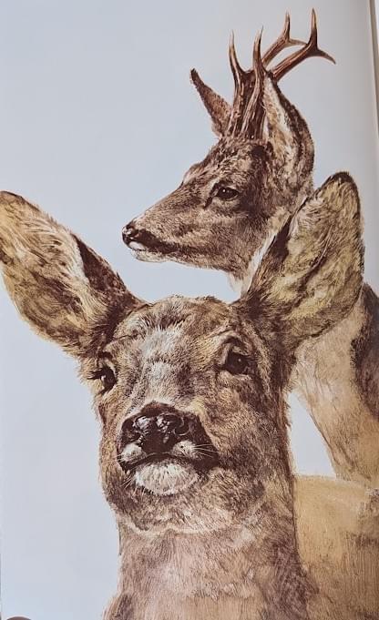 Section image