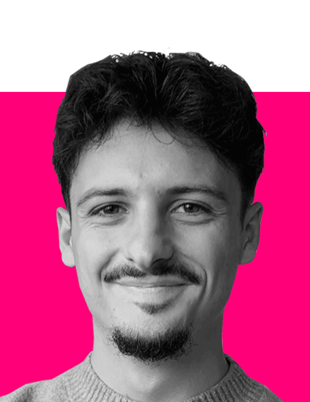 Hugo Bisons Hugo Bisons