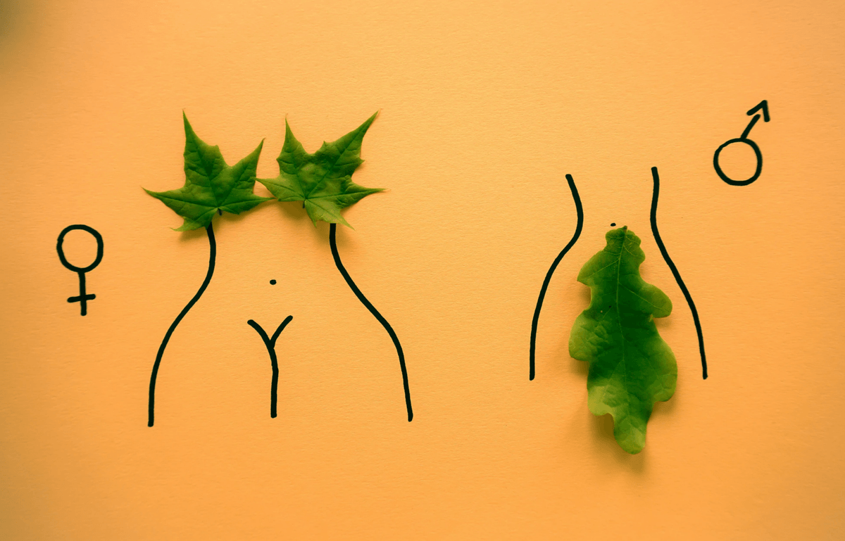 HPV 是什麼?誰會得?怎麼預防?完整解析人類乳突病毒|淺顯易懂的行醫筆記|療寮診所.板橋江子翠|家醫科診所.健保一般科 HPV 是什麼?誰會得?怎麼預防?完整解析人類乳突病毒|淺顯易懂的行醫筆記|療寮診所.板橋江子翠|家醫科診所.健保一般科