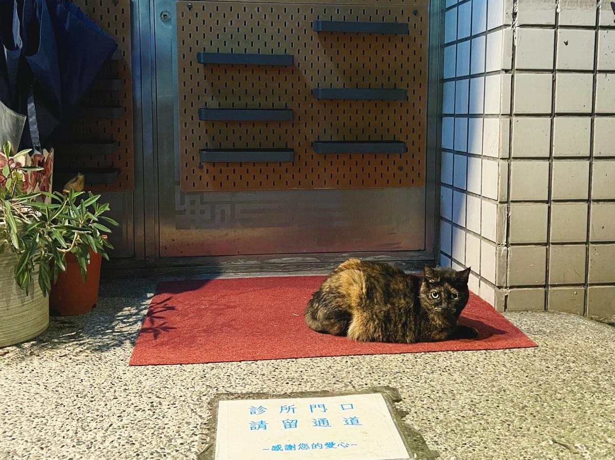 【活動回顧】10/31 萬聖節特別場|全新特調:長島冰茶 Cocktail 🥃 微醺桌遊夜|解憂桌遊堂|台北|桌遊|療寮生活館 【活動回顧】10/31 萬聖節特別場|全新特調:長島冰茶 Cocktail 🥃 微醺桌遊夜|解憂桌遊堂|台北|桌遊|療寮生活館