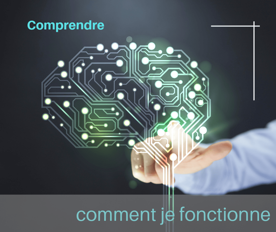 Avenir Factory conseil à l'orientation scolaire explique comment fonctionne la mémoire et la concentration Avenir Factory conseil à l'orientation scolaire explique comment fonctionne la mémoire et la concentration