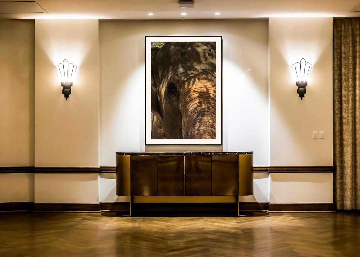 photographie d'art et décoration d'intérieur photographie d'art et décoration d'intérieur