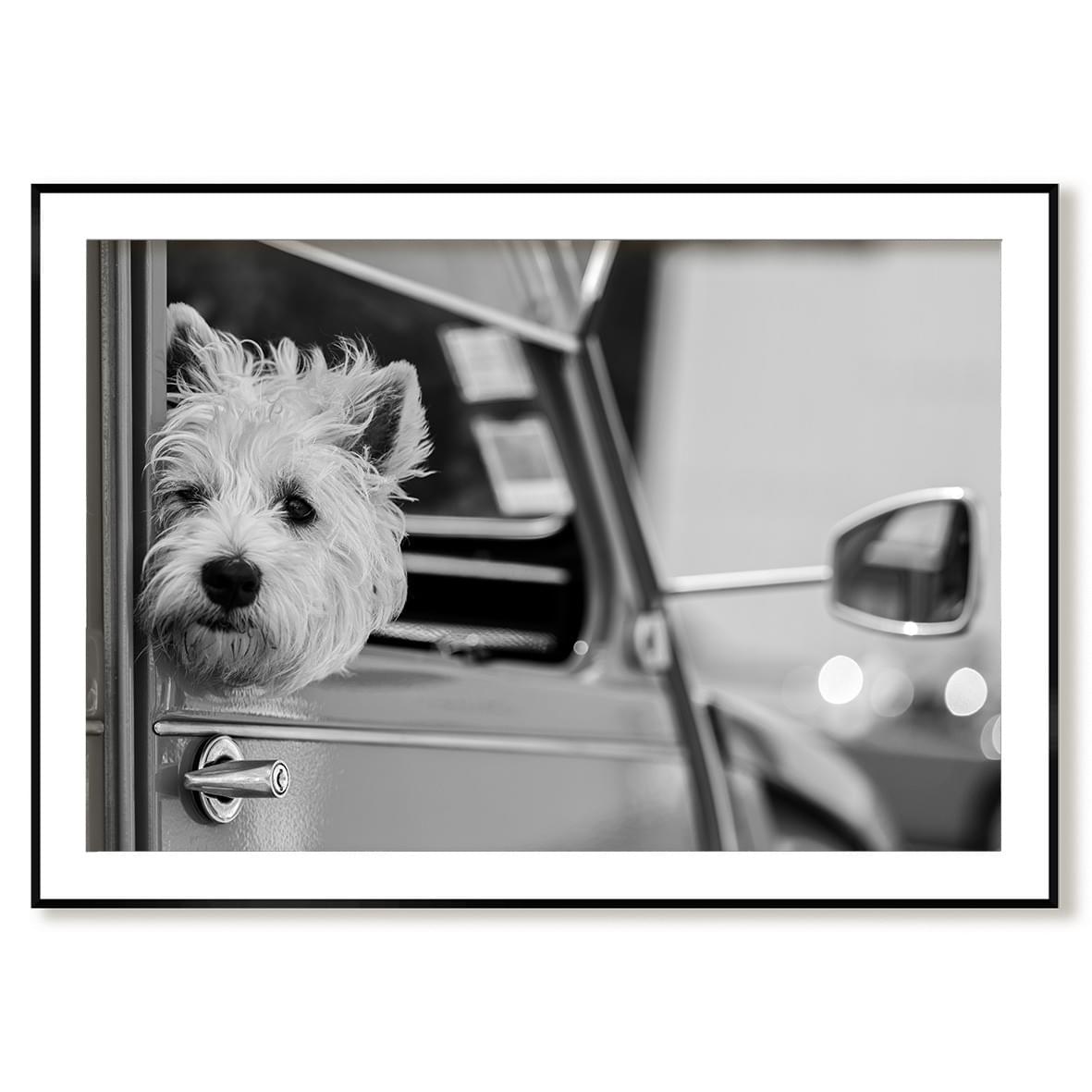 achat photographie - décoration murale achat photographie - décoration murale