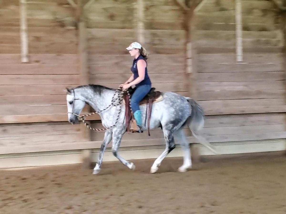 Horseback trail riding and swimming Horseback trail riding and swimming