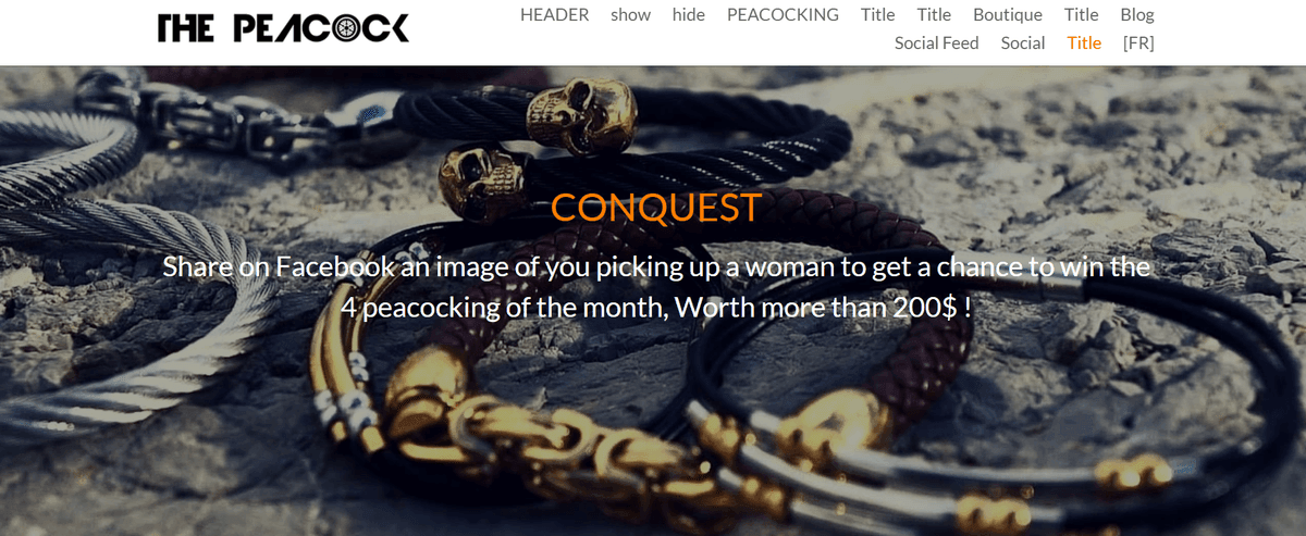 Bygg din smyckesaffärswebbplats med oss! Bygg din smyckesaffärswebbplats med oss!