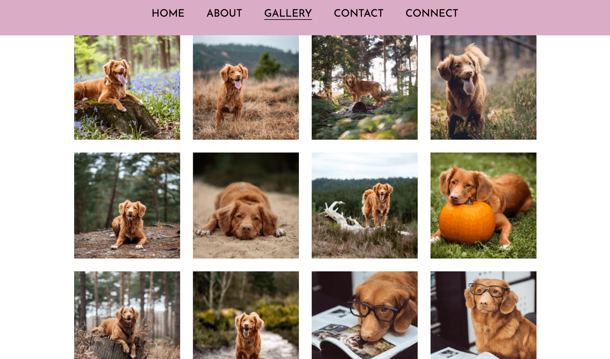 Välja rätt 3D-fotografikamera Välja rätt 3D-fotografikamera