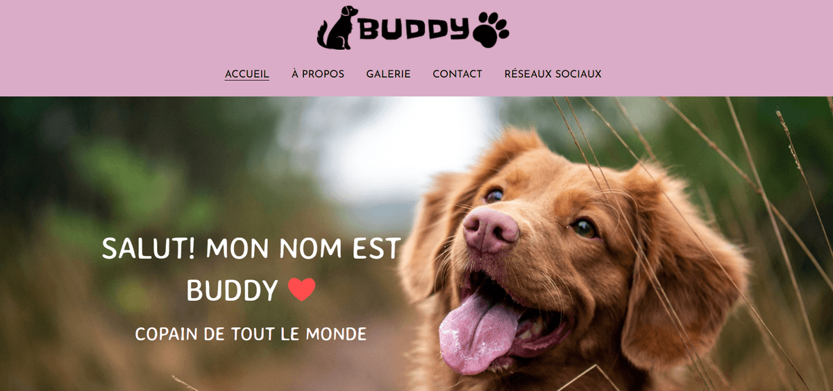 Garde d'animaux et promenade de chiens Garde d'animaux et promenade de chiens