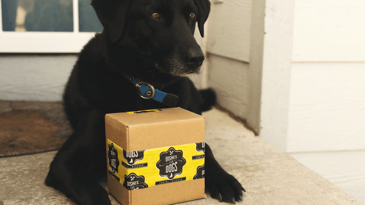 Các Chiến Lược Hiệu Quả Cho Mô Hình Kinh Doanh Đăng Ký Các Chiến Lược Hiệu Quả Cho Mô Hình Kinh Doanh Đăng Ký