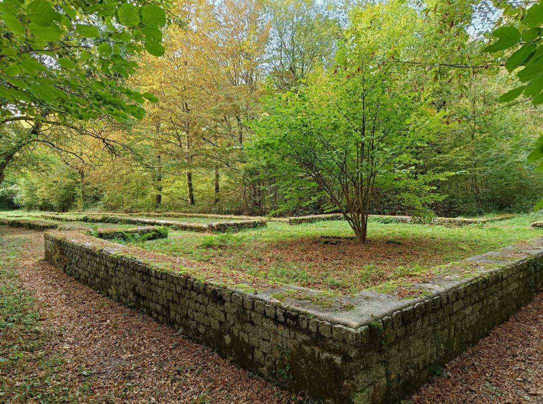 Section image