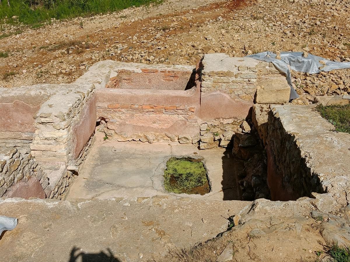 Section image