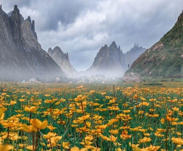 ザガナ:チベット語で「石の箱」を意味するザガナ景区には、断崖絶壁に囲まれたチベット村が点在しています。まるで世間から隔絶された桃源郷のようで、多くのハイキングルートがあります。おすすめは仙女滩で、達日展望台から絶景の日の出と朝霧🌄を楽しむことができます。ロックの道:ロックの道を通る際は早めに出発することをおすすめします。渋滞を避けるためです。「中国で最も美しい」と称される100kmの秘境で、雪山、草原、峡谷、チベット村の景観が集まる絶景ロードです。 ザガナ:チベット語で「石の箱」を意味するザガナ景区には、断崖絶壁に囲まれたチベット村が点在しています。まるで世間から隔絶された桃源郷のようで、多くのハイキングルートがあります。おすすめは仙女滩で、達日展望台から絶景の日の出と朝霧🌄を楽しむことができます。ロックの道:ロックの道を通る際は早めに出発することをおすすめします。渋滞を避けるためです。「中国で最も美しい」と称される100kmの秘境で、雪山、草原、峡谷、チベット村の景観が集まる絶景ロードです。