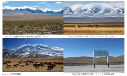 北京、上海、広州、重慶、成都、蘭州から発着しています。いずれの便も西寧を通り、西寧以降ラサまでは同じルートを通ります。列車内には酸素が供給され、徐々に標高を上げていくため高所順応に最適なルートです。詳しくは「青蔵鉄道特集」をご覧ください。 北京、上海、広州、重慶、成都、蘭州から発着しています。いずれの便も西寧を通り、西寧以降ラサまでは同じルートを通ります。列車内には酸素が供給され、徐々に標高を上げていくため高所順応に最適なルートです。詳しくは「青蔵鉄道特集」をご覧ください。