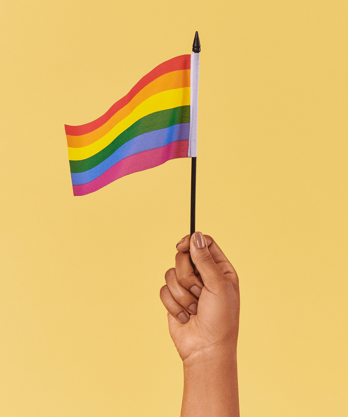 8 Stripe Gay Pride Flag Meaning